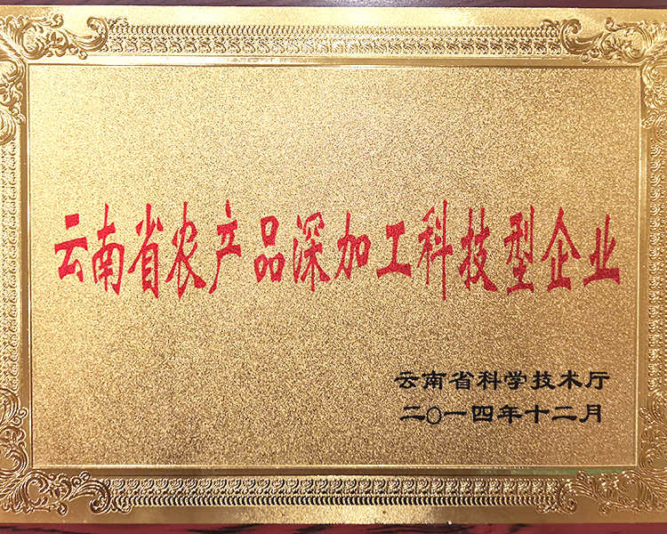 荣誉证书(图1)