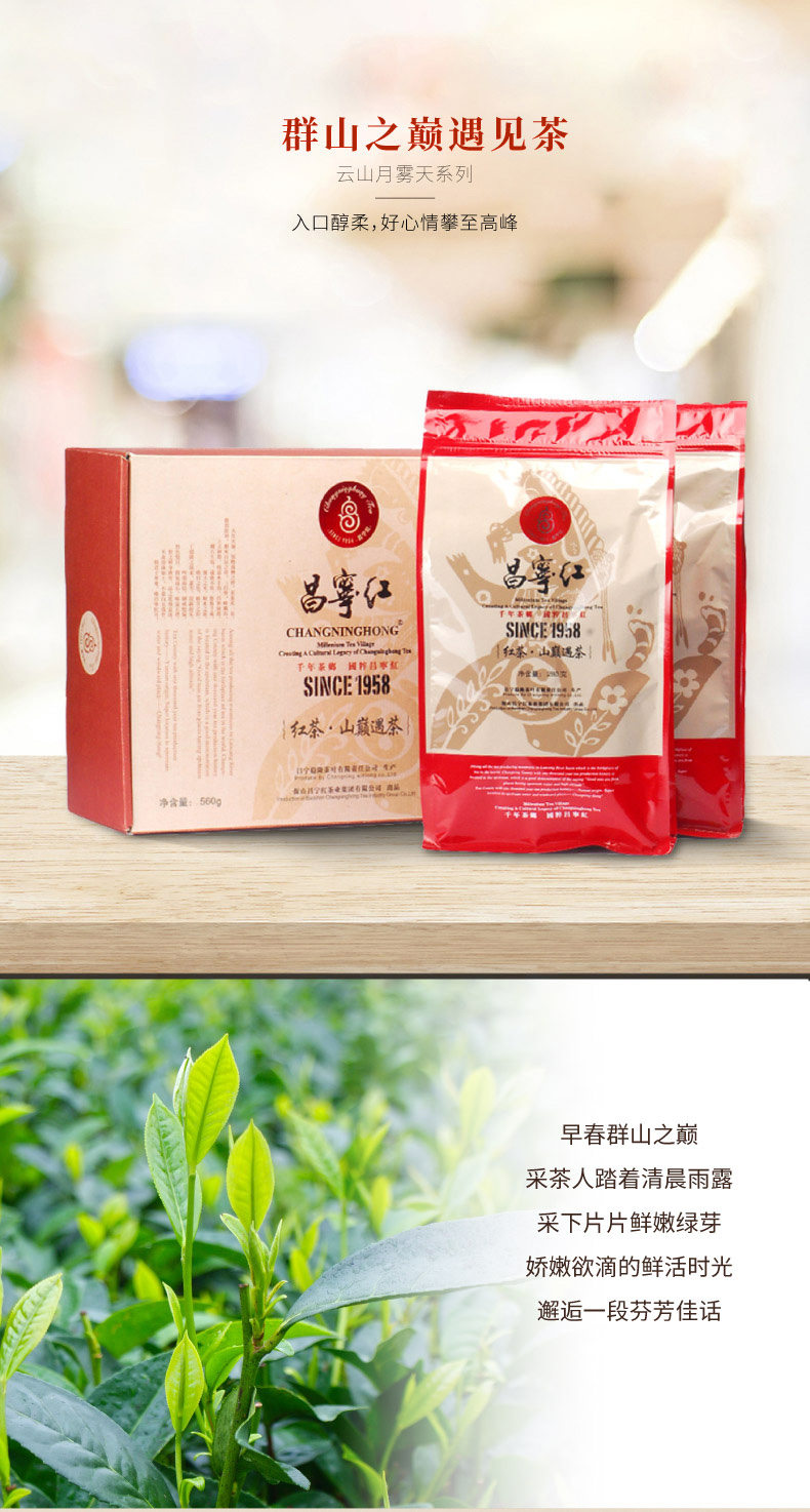 山巅遇茶(图1)