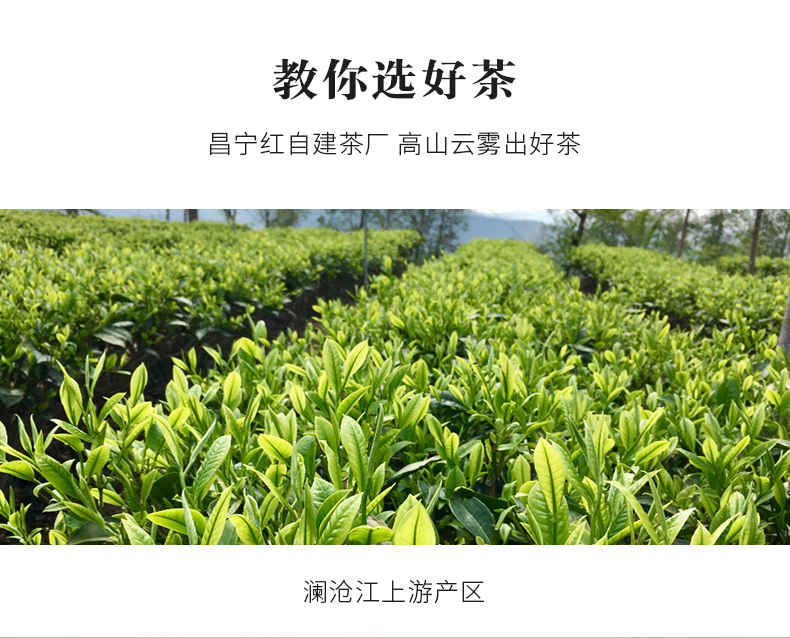 月下听茶(图8)