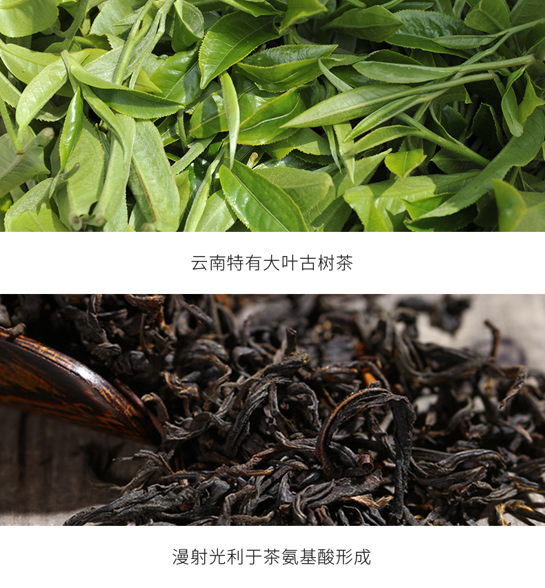 月下听茶(图10)