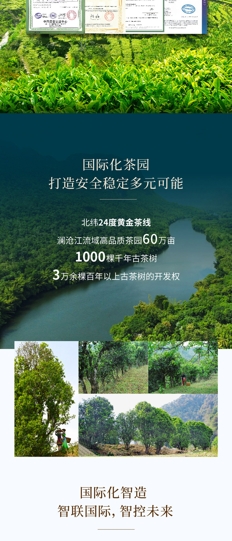 年有余(图20)